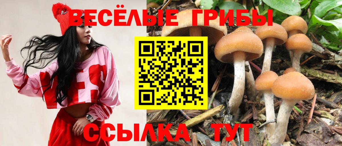 Галлюциногенные грибы Cubensis  Псилоцибиновые грибы ЛСД  магазин    Вход с VPN  Свободный 