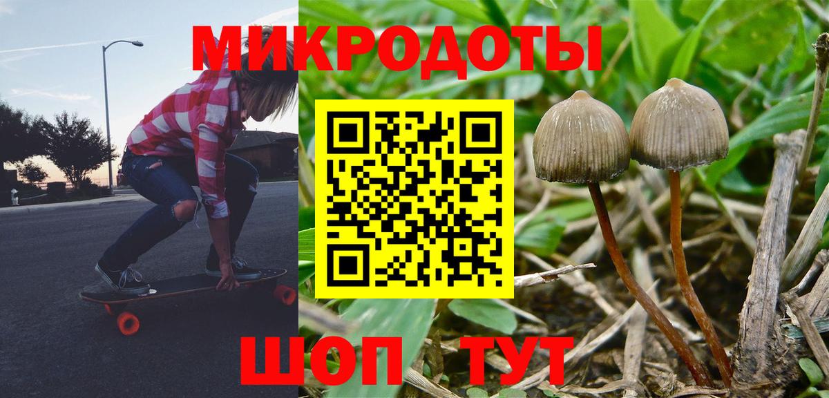 Галлюциногенные грибы мицелий Свободный
